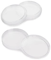 Dish, Petri, 15 x 100 mm, pk/20