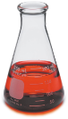 Flask, Erlenmeyer, Glass 50 mL